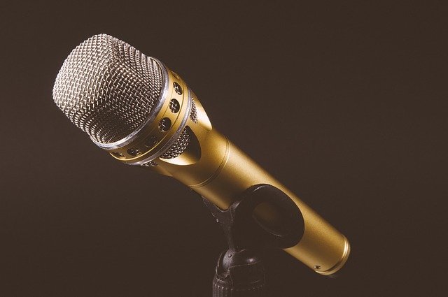 microphone-1246057_640