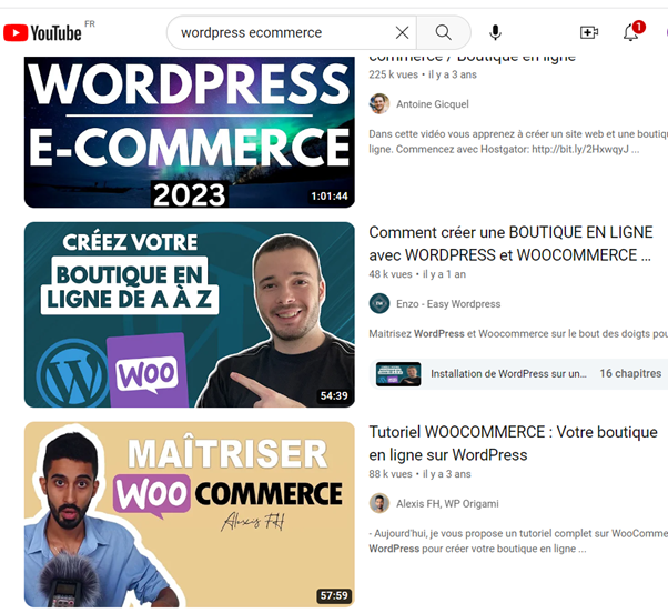 exemple "WordPress eccommerce"